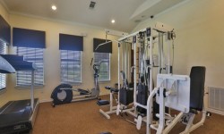 Orion Prosper Lakes | Pet Friendly Apartments | Prosper, TX