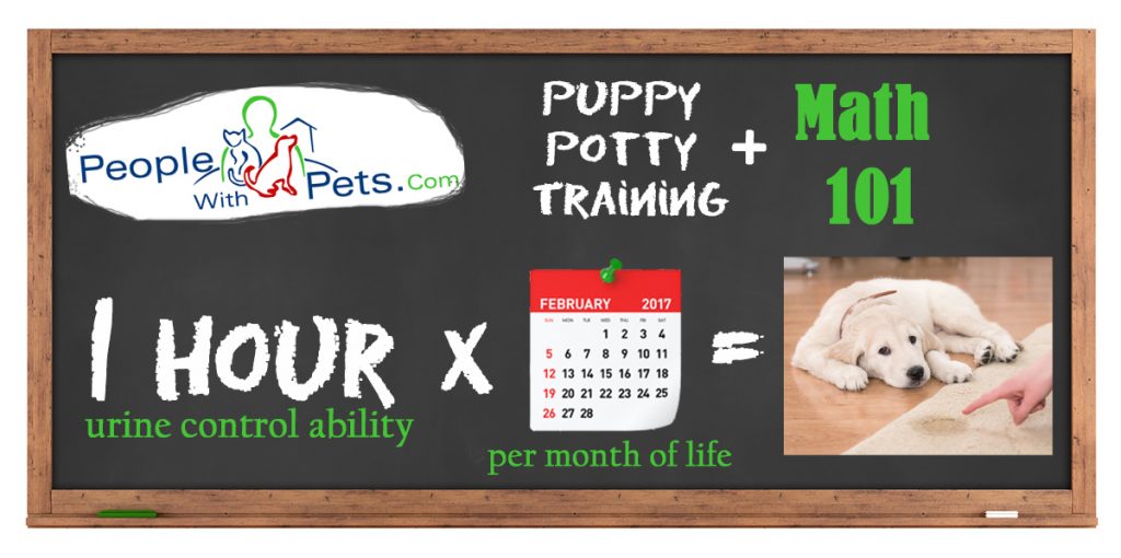 puppy potty training math