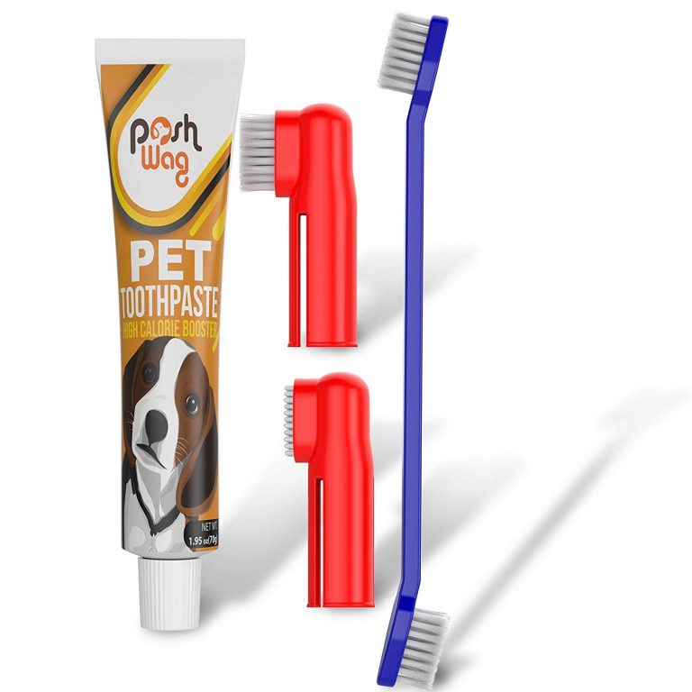 pet toothbrush 768x768