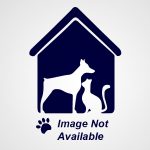 people-with-pets-no-image-available people-with-pets-no-image-available