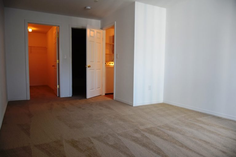 Summit Style B Mstr Bdrm Showing Walk In 768x512