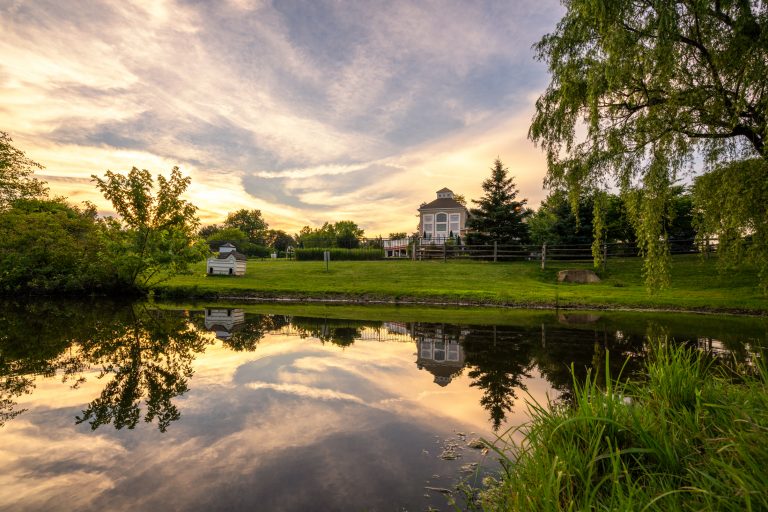 2 Orchard Hill Grounds 062118 1959 768x512