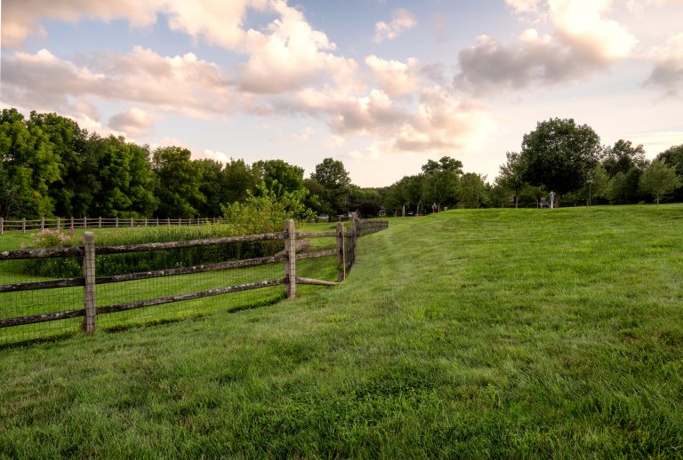 Greene Outside 080118 1918 07 768x518