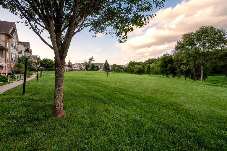 Greene Outside 080118 1920 09 768x512