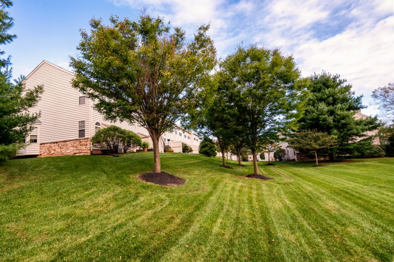 Summer Hill Outside 10052018 093019 768x512