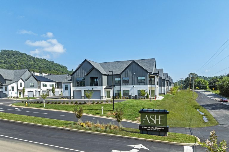 mls 2177 Brevard Rd Arden 58 768x512