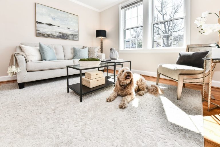 06 Magnolia Grand Foyer Apartment at Manor House 768x512