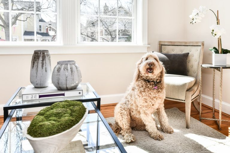 08 Magnolia Grand Foyer Apartment at Manor House 768x512